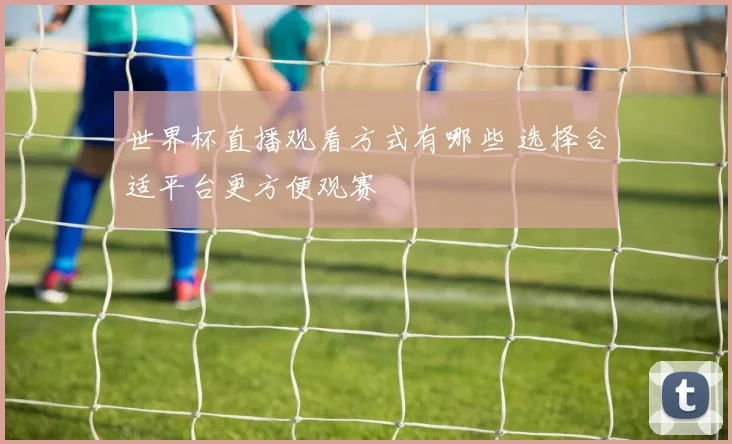 世界杯直播观看方式有哪些 选择合适平台更方便观赛