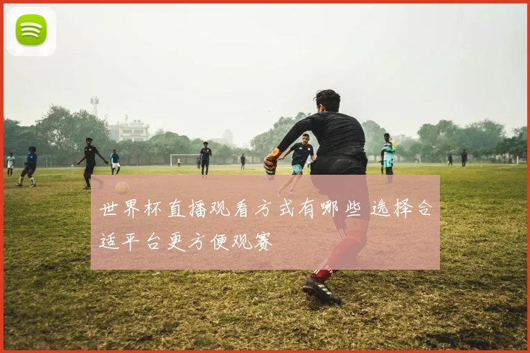 世界杯直播观看方式有哪些 选择合适平台更方便观赛